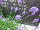 image of grave number 771221